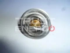 Термостат (элемент) (Т=72гр.)/Thermostat